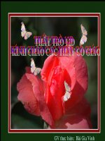 Phuong trinh tong quat cua MP