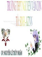 BAI 12. ĐACIEM TINH CHAT 1 SO LOAI PHAN BON THONG THUONG