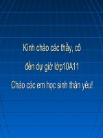 Lực hấp dẫn NC