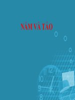 nam va tao