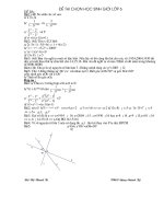 Thi HSG toán6(có đáp án)