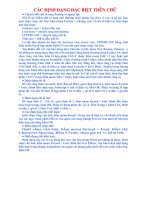 Cac Dinh Dang Dac Biet Tren Chu