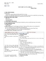 Giáo án: Tiếng đàn ghita...(chuẩn)