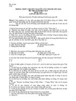 De thi cuoi hoc ki I lop 10 - namvan83