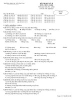 kimtra HK lop 11 de 2