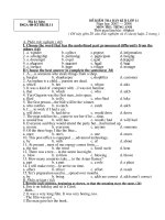 Đề thi & đáp án thi BKII lớp 11 Môn Anh  1