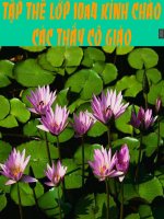 đường thẳng vuông góc với mặt phẳng