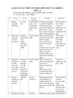 Giáo án tự chọn Ngữ văn 9