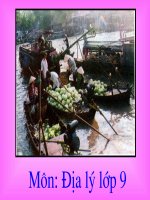 Bài 36: Vùng đồng bằng sông Cửu Long