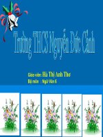 Tiết 111: Câu trần thuật đơn