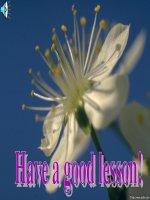 Unit 6: Lesson 5: C1-2/ p.68-69