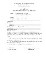 Mau don xet het tap su - thu viec