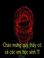 anken_thaogiangtinh BR_VT_giai 1