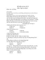 Đề kiểm tra HK Ngữ văn lớp 6