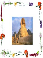 Bài 29: Cấu trúc các loại virut