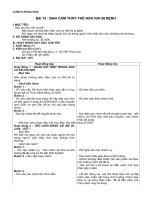 Giáo án KHoa học 4 Tuần 8-15, có hoạt động, mục tiêu , hay, đẹp