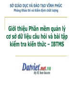 Bài giảng về IBTMS