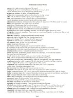 Commonly Confused Words