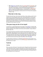 Thỏ trong đời sống