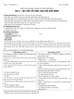 giáo án sh 10 (rất hay)