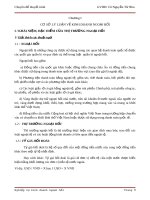 kinh doanh ngoai hoi