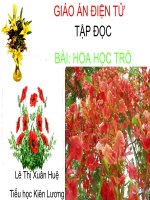 Bài: Hoa học trò