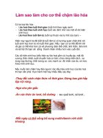 Làm sao làm cho cơ thể chậm lão hóa 