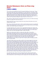 Nicolai Nikolaevic Zinin và Phản ứng Zinin