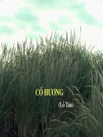 Cố hương (Tiết 3)