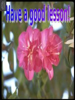 Unit 12. Leson 4: Sports and pastimes