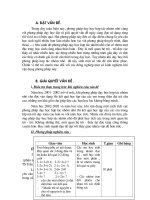 skkn hoạt động nhóm