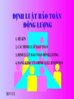 Định luật bảo toàn động lượng