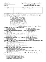 Khảo sát giữa kỳ 6