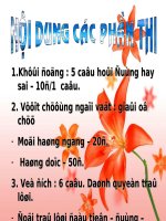 NGOẠI KHÓA LIÊN MÔN ĐỊA SINH HÓA KHỐI 9