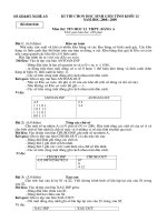 Đề thi HSG12 Tỉnh Nghệ An Năm 2009