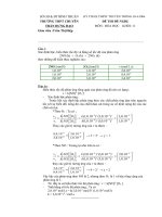 PHAN THIET - TRAN HUNG DAO - HOA 11