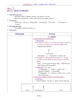 Nội dung bài giảng Hóa 12NC - Bài 13 (GV soạn thêm phần làm việc với HS)