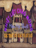 Hoạt động trong ngày hè
