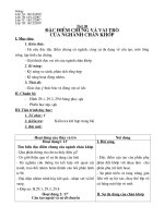 Giáo án Sinh 7 (T30-32)