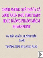 Bài soạn thi cấp tỉnh