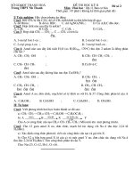 Đề thi học kỳ 2 lớp 11 CB