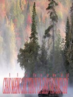 Hiệu điện thế