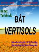 Tìm hiểu về đất Vertisols