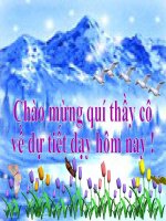 bài Môi Trường vùng núi