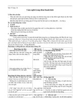 Giáo  an Ngữ văn 7(tuần 10-14)