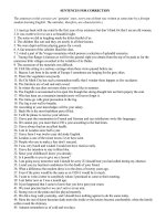 Sentences For Correction