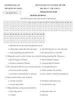 DE KT 15'' 45'' CAC LOP CAC NAM