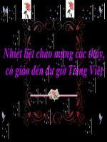 giao an  dien t­u Tieng viet lop3