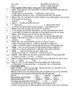 Đề kiểm tra giữa HK I