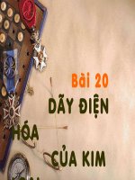 Dãy điện hóa của kim loại